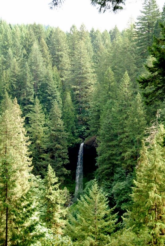 2011-SilverFalls6.jpg