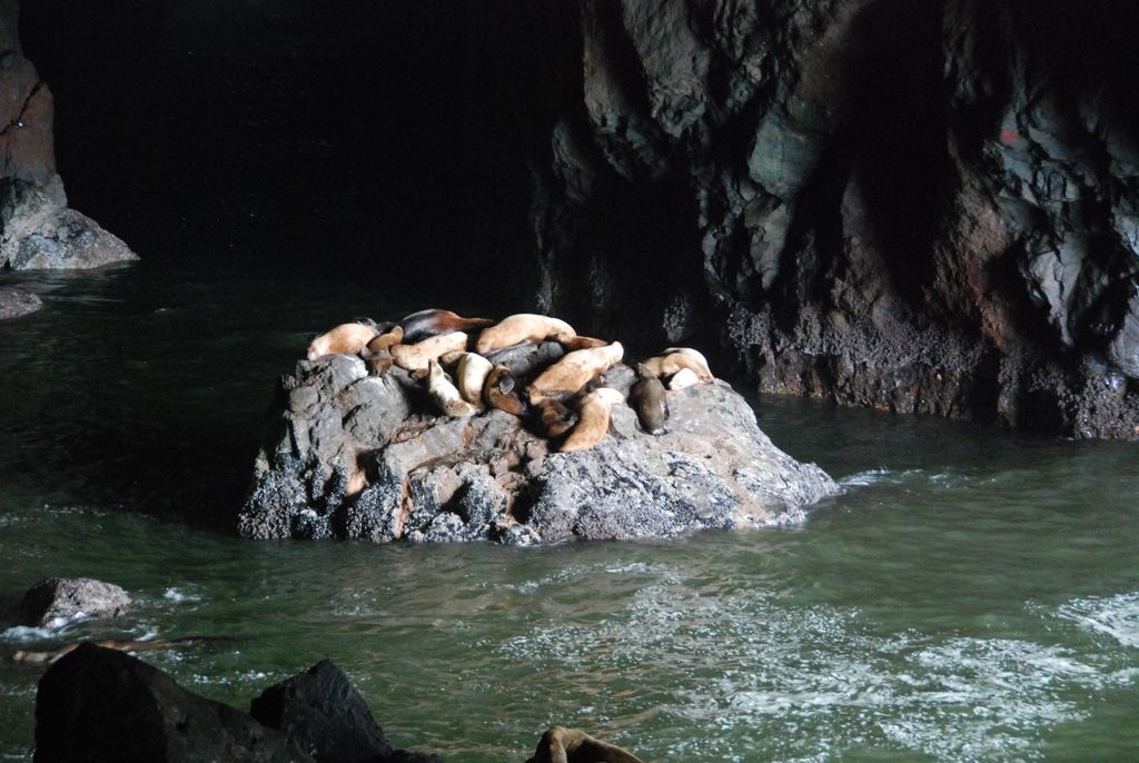 sealioncave.jpg