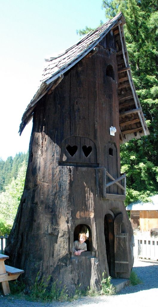 shrinetreehouses.jpg